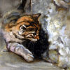Koťátko, 2006, olej na desce, 33 x 22,5 cm, (soukromá sbírka)