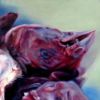 Kuřecí hlavy, 2004, olej na plátně, 75 x 200 cm